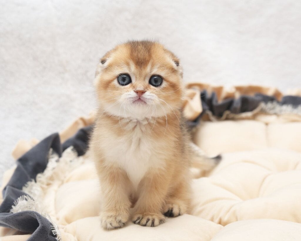 Photo 2025 12 12 15 47 52