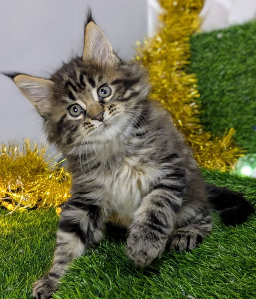 Photo 2025 12 12 15 50 46 2