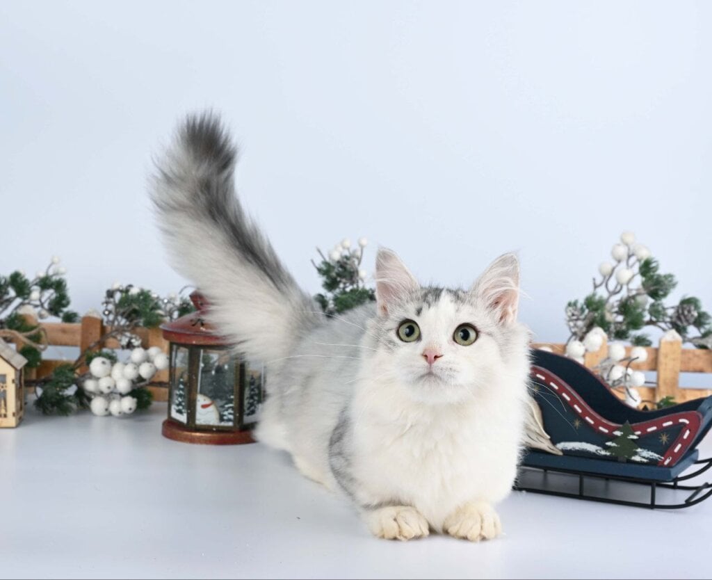 Photo 2025 12 13 14 50 20