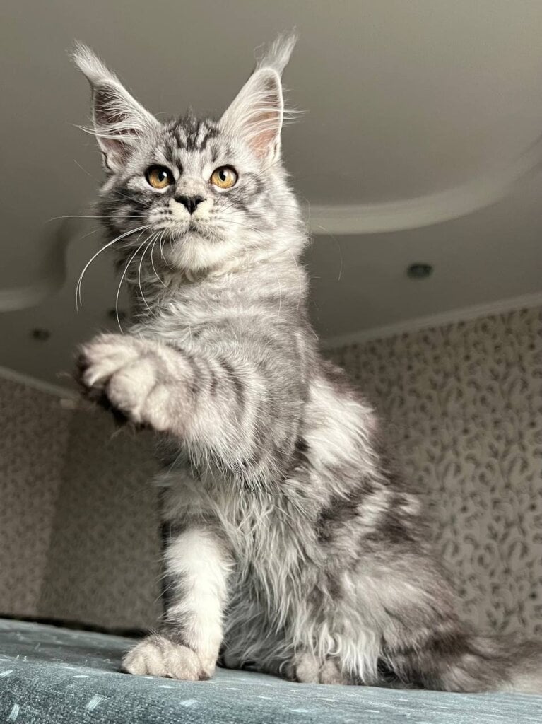 Photo 2025 12 13 15 57 16