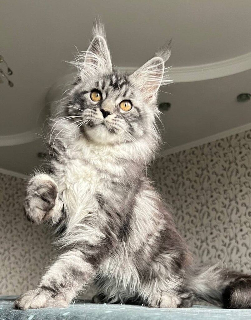 Photo 2025 12 13 15 58 47 2