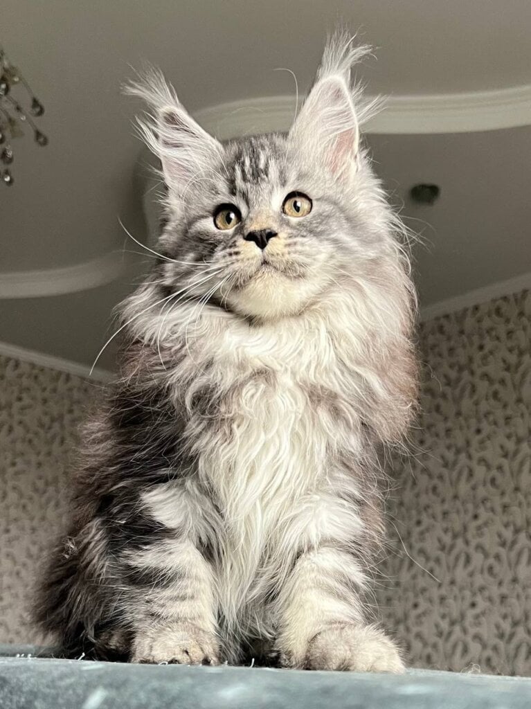 Photo 2025 12 13 16 00 17