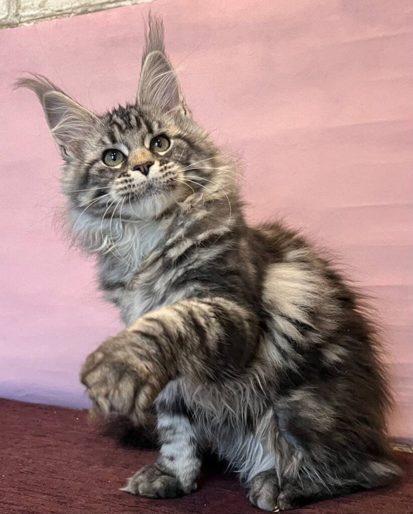 Photo 2025 12 13 16 01 57