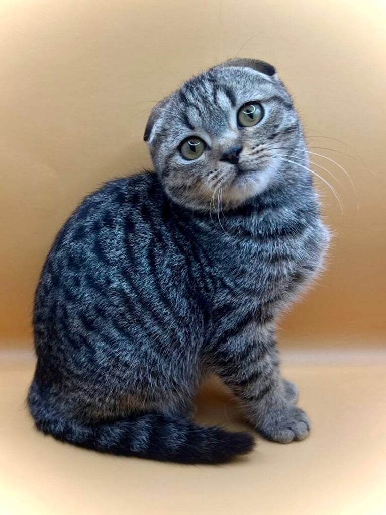 Photo 2025 12 14 11 40 45