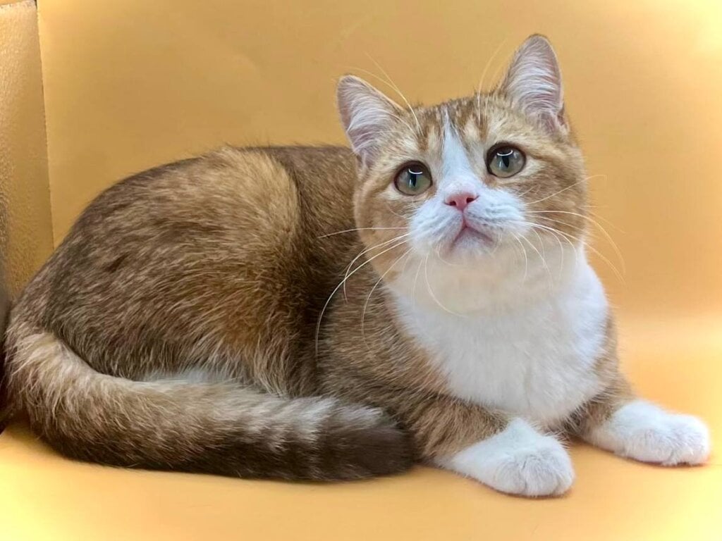 Photo 2025 12 14 11 48 45