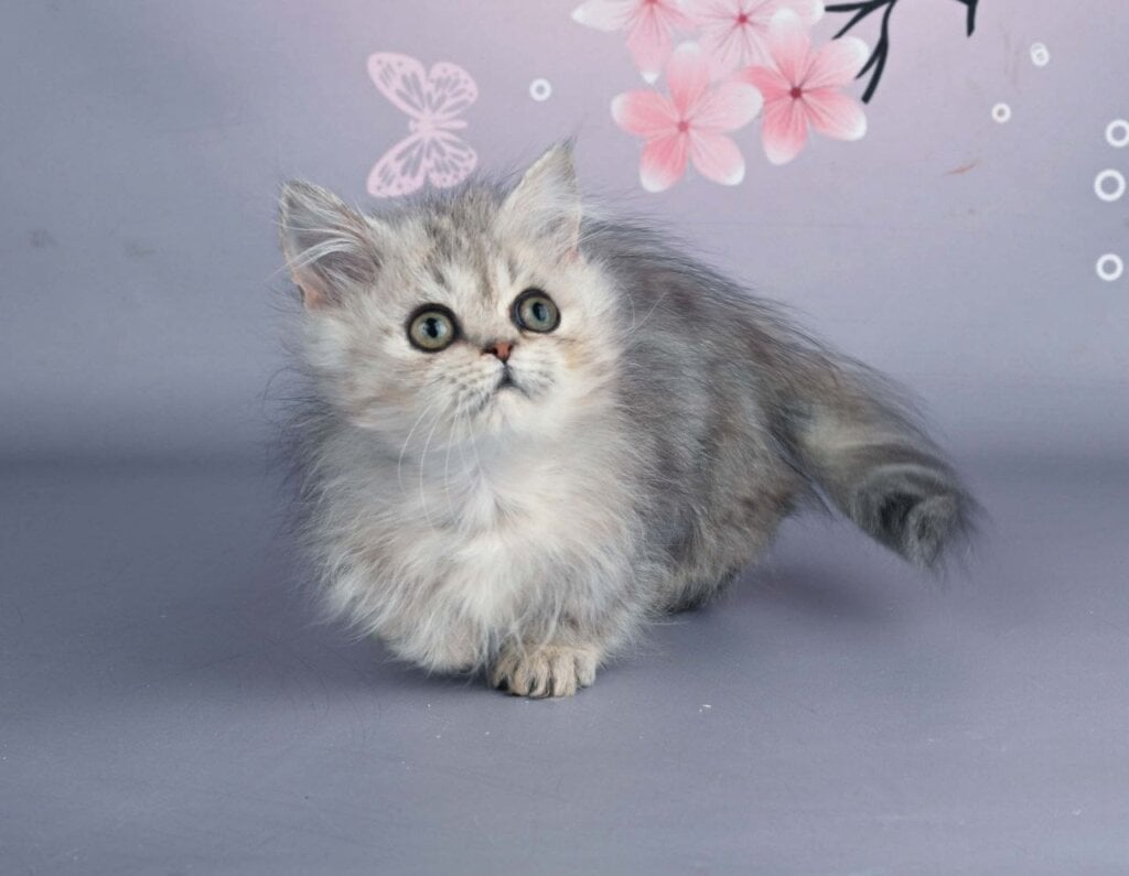 Photo 2025 12 14 13 59 09