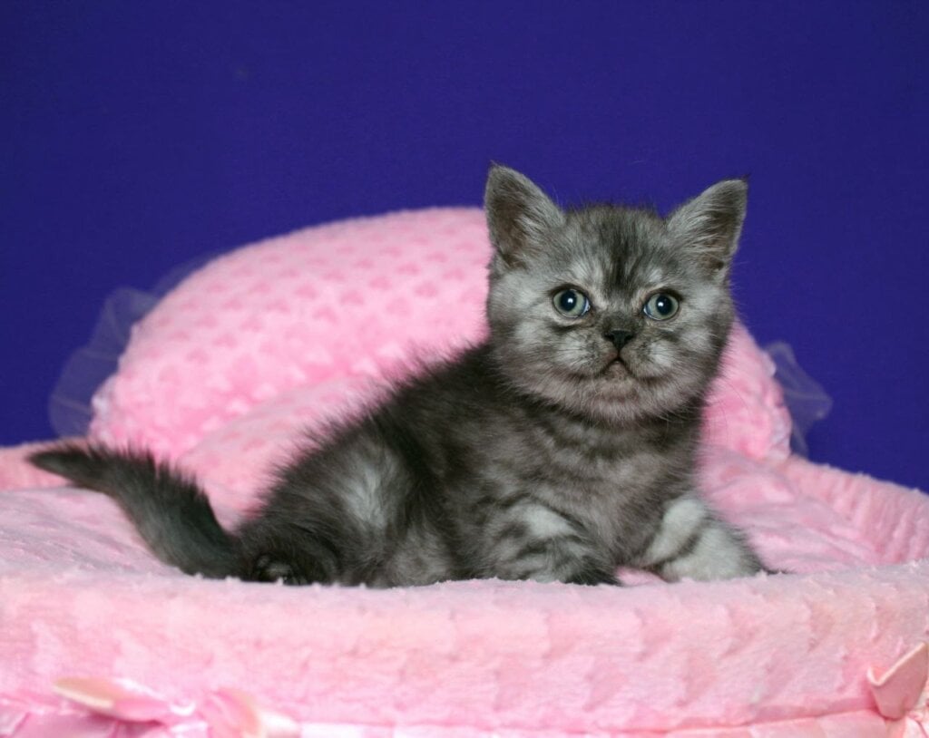 Photo 2025 12 14 20 28 40