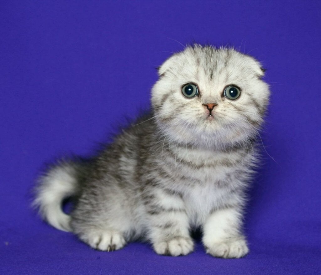 Photo 2025 12 14 20 32 54 2