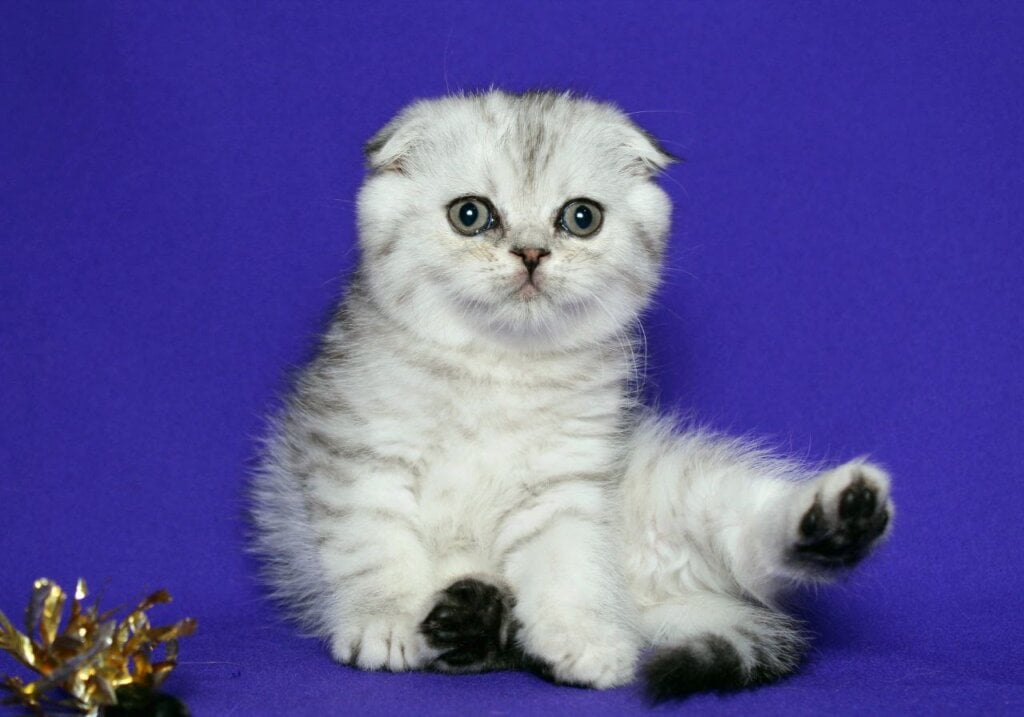 Photo 2025 12 14 20 36 14