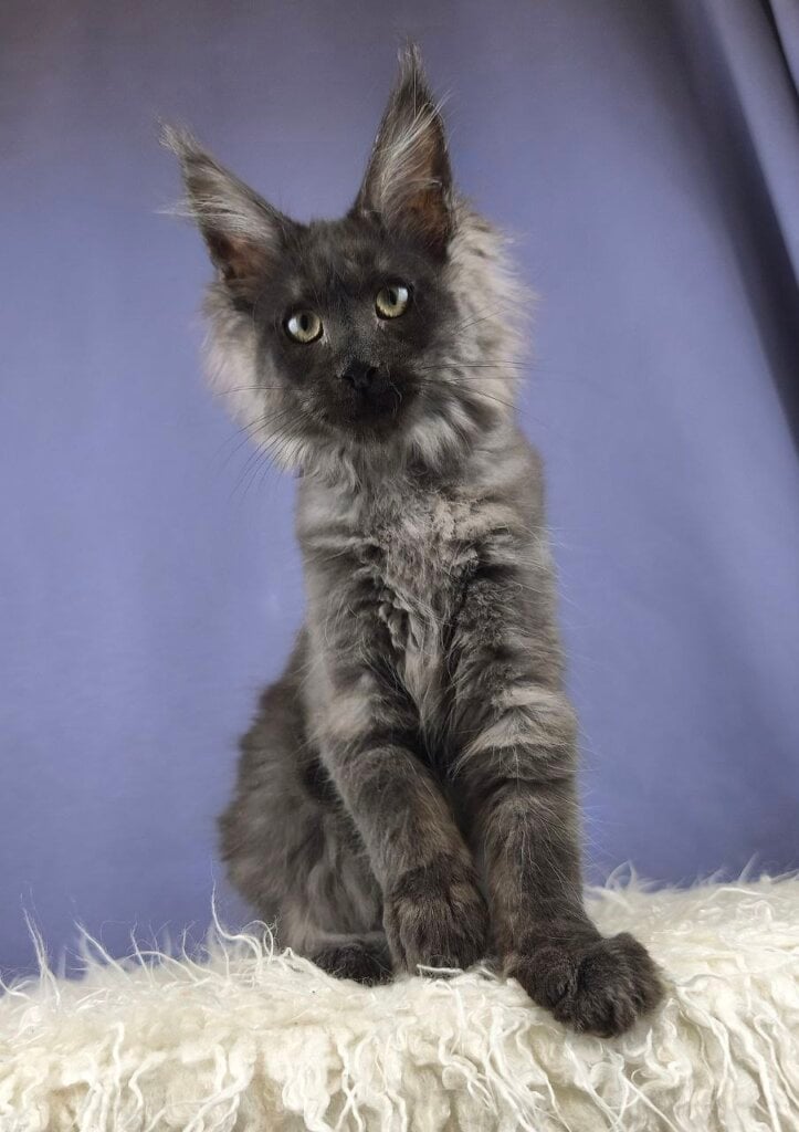 Photo 2025 12 15 20 31 05 2