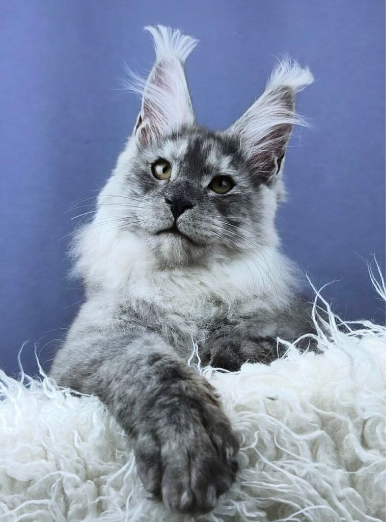 Photo 2025 12 15 20 45 31