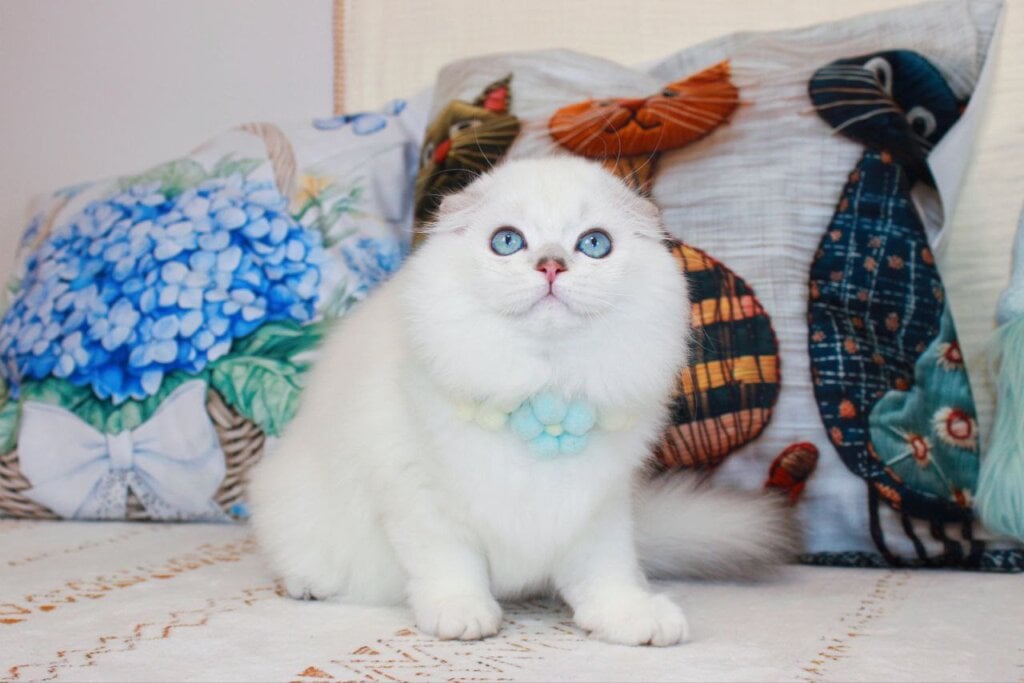 Photo 2025 12 15 22 13 18