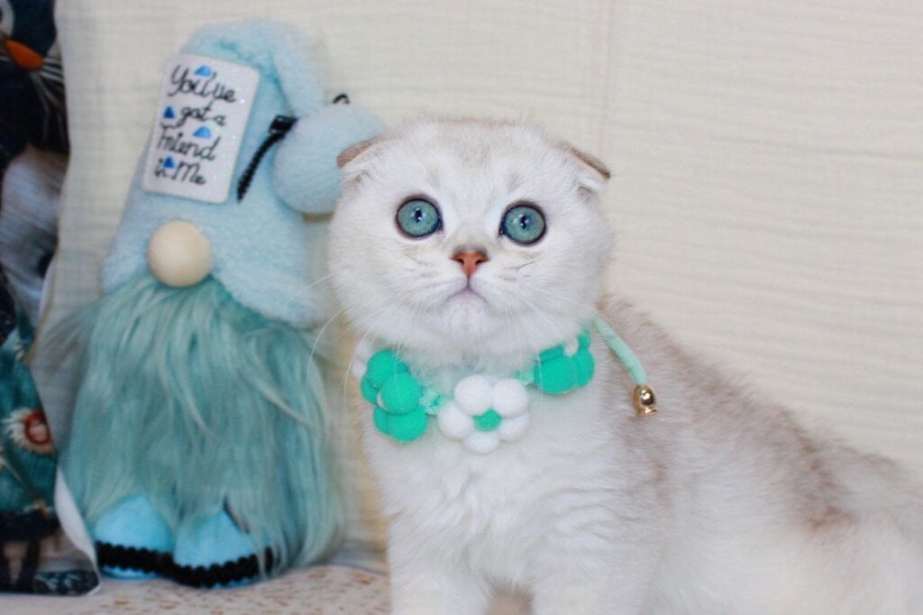 Photo 2025 12 15 23 00 06 5