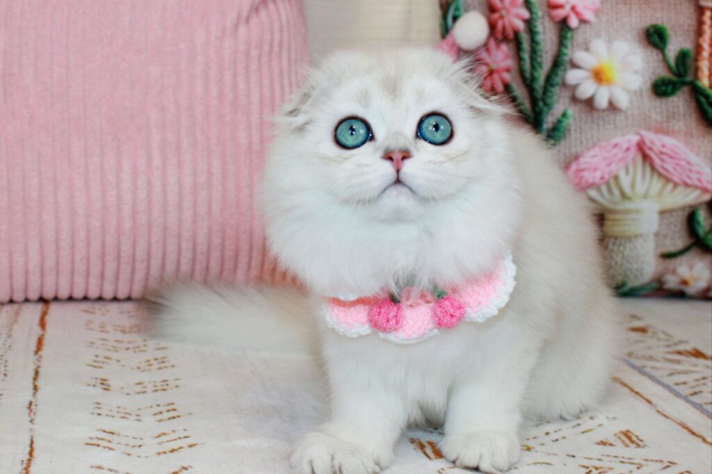 Photo 2025 12 15 23 23 56