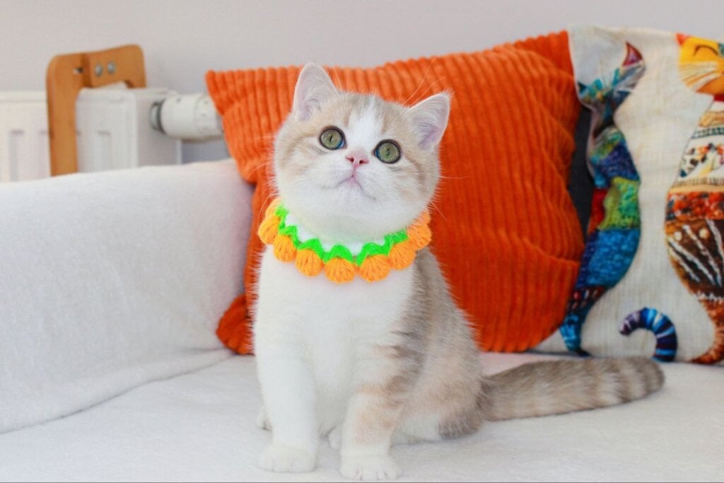 Photo 2025 12 15 23 37 42 5