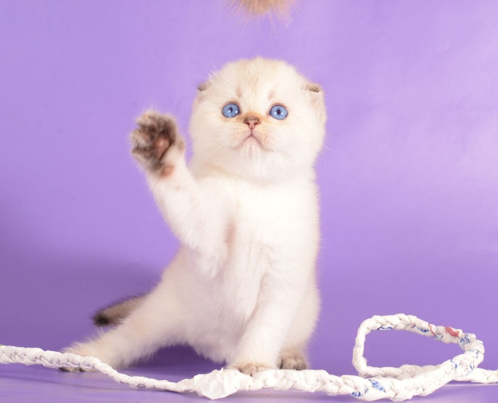 Photo 2025 12 15 23 51 06 3