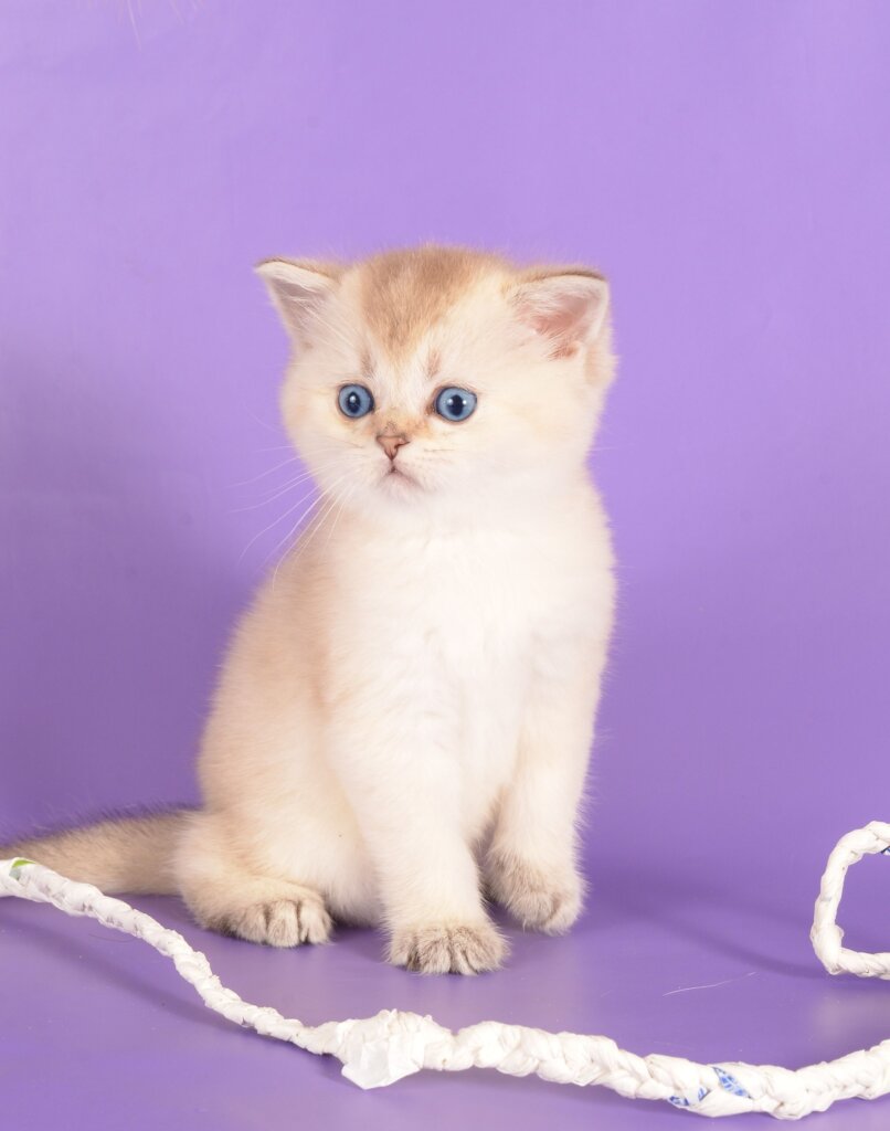 Photo 2025 12 15 23 55 42