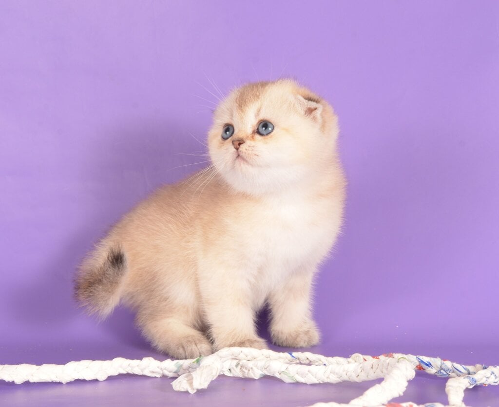 Photo 2025 12 15 23 56 52