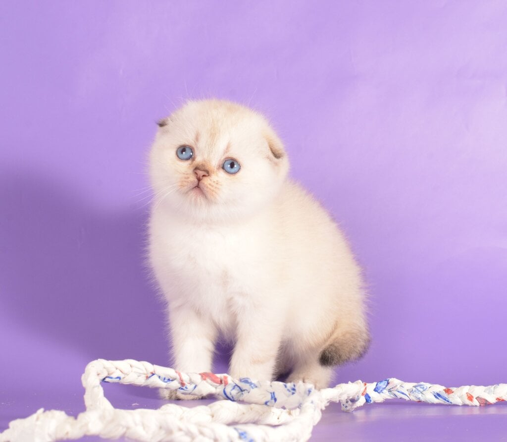 Photo 2025 12 15 23 59 00