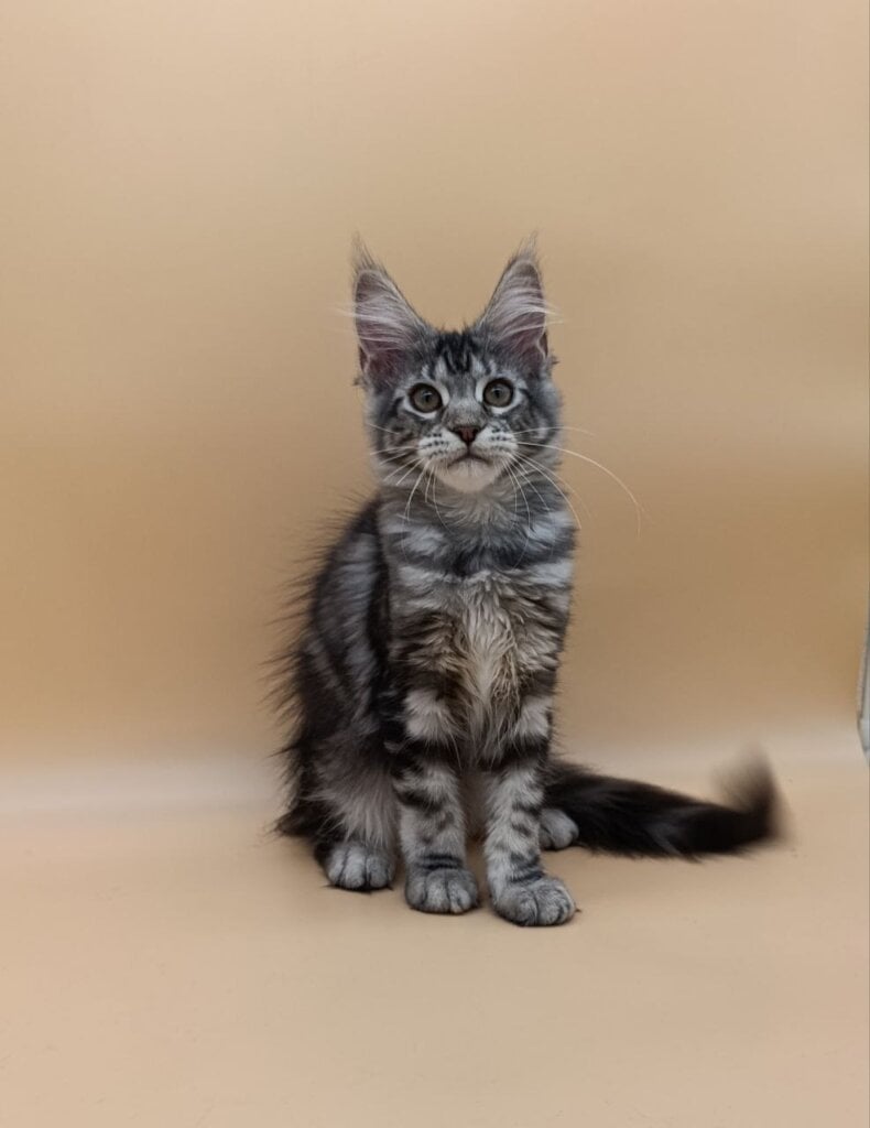 Photo 2025 12 16 10 49 41 2