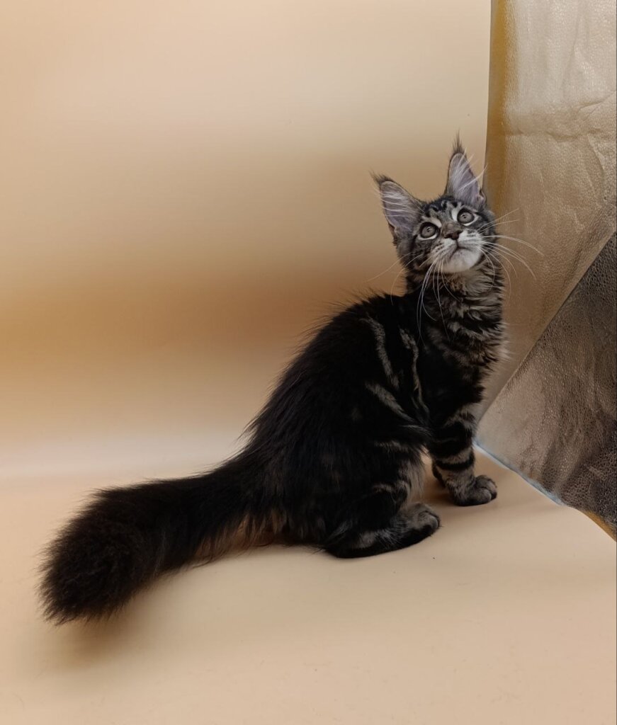 Photo 2025 12 16 10 57 53 2