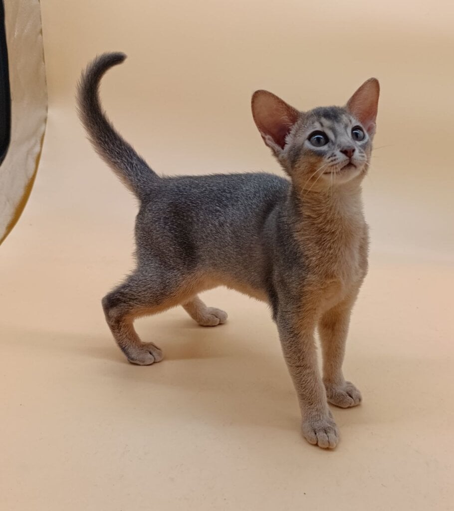 Photo 2025 12 16 11 11 00