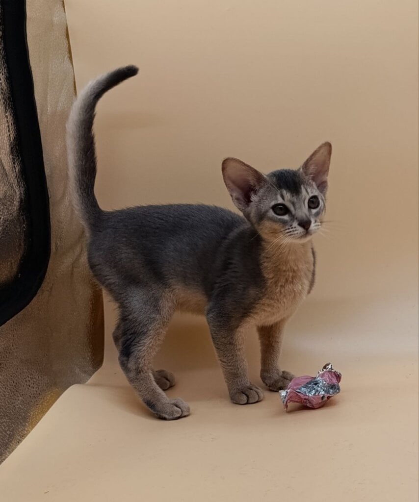 Photo 2025 12 16 11 12 33 3