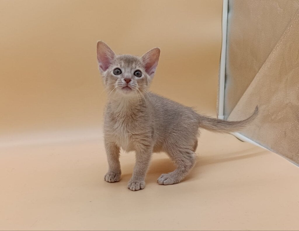 Photo 2025 12 16 11 16 28