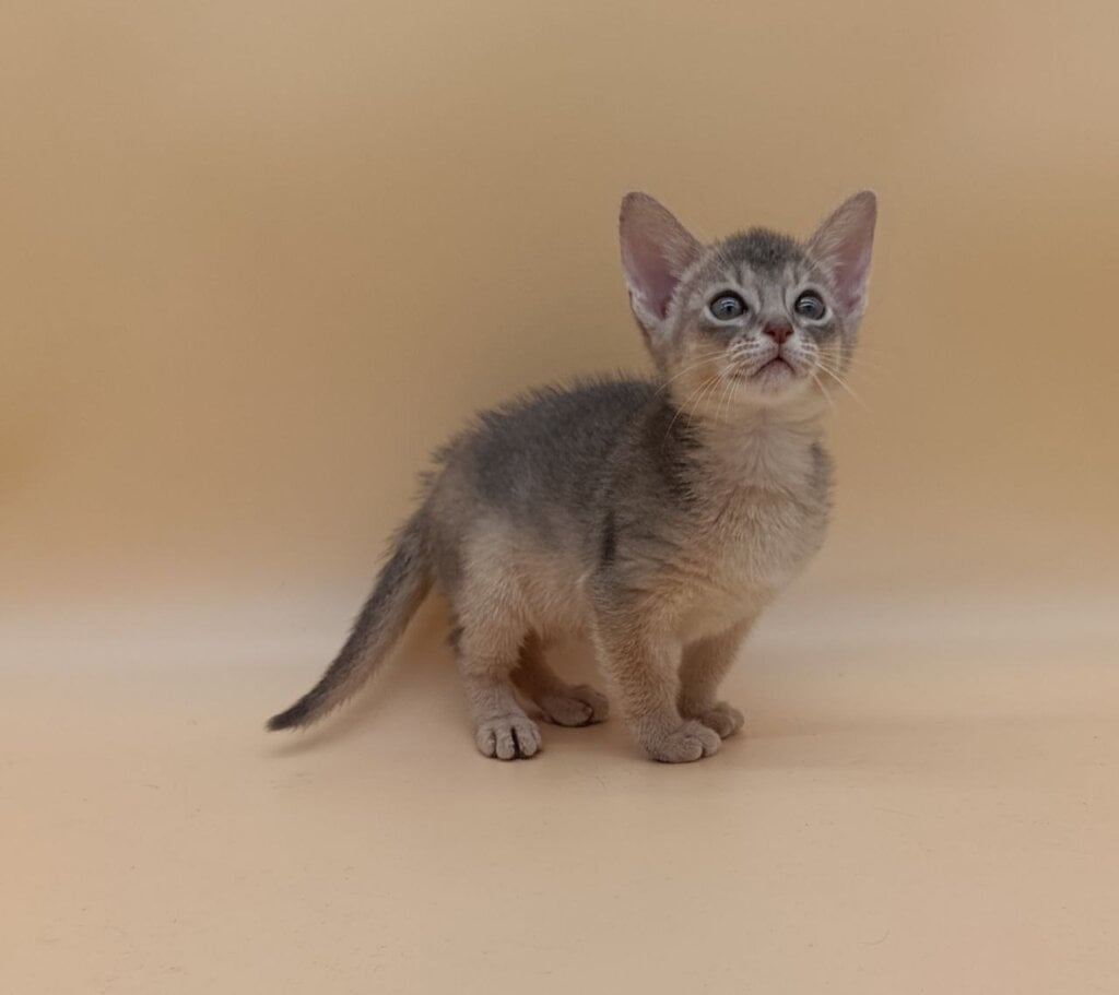 Photo 2025 12 16 11 18 20 2