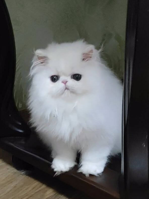 Photo 2025 12 16 14 38 32 3