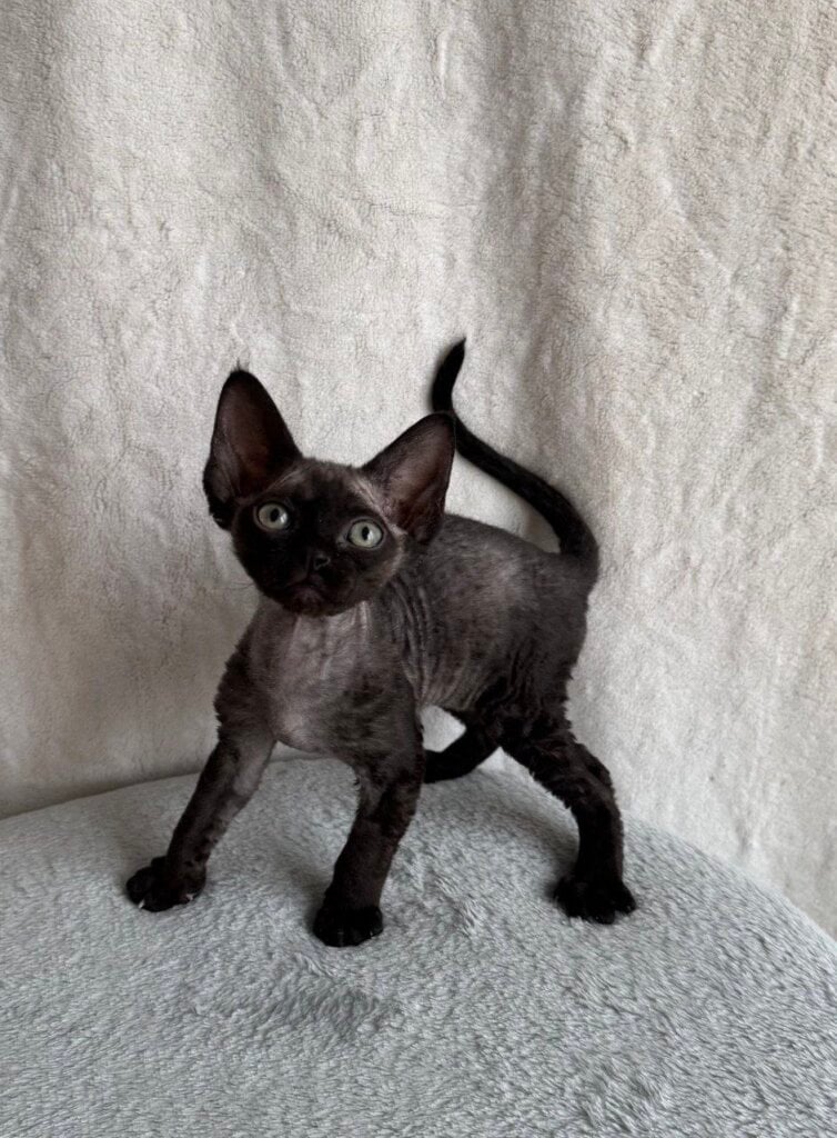 Photo 2025 12 16 15 29 12