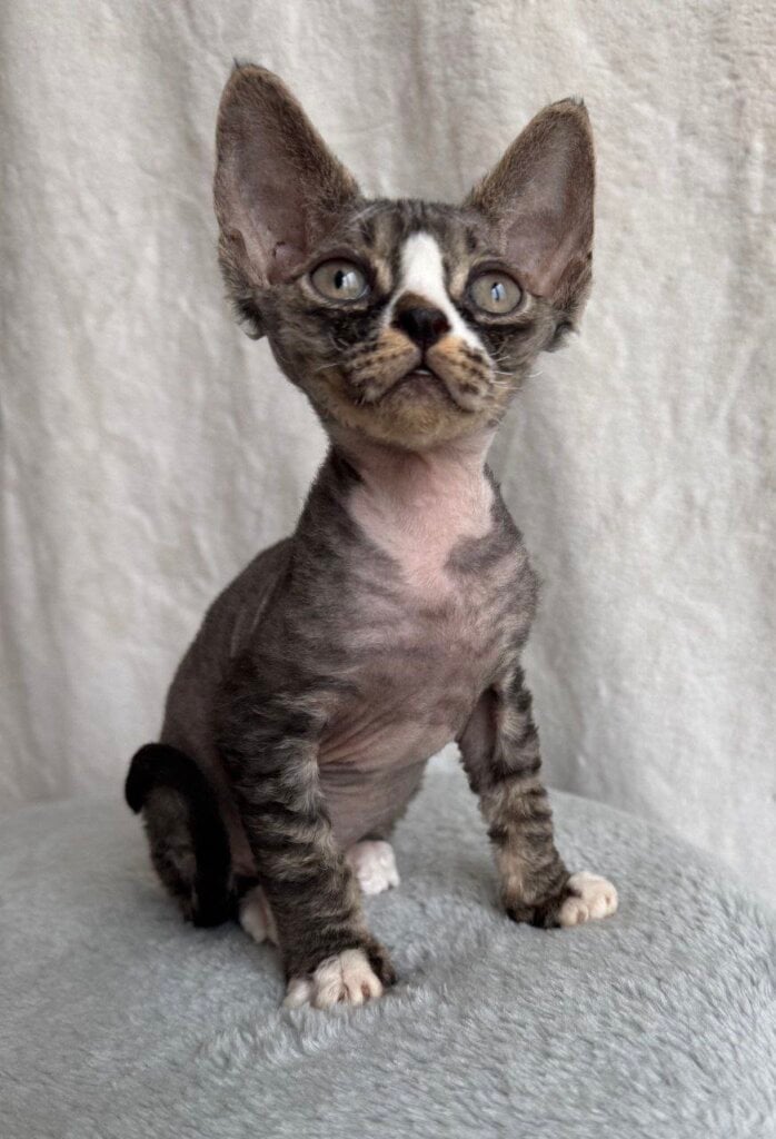 Photo 2025 12 16 16 12 15