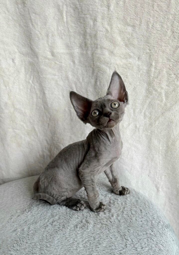 Photo 2025 12 16 16 12 29