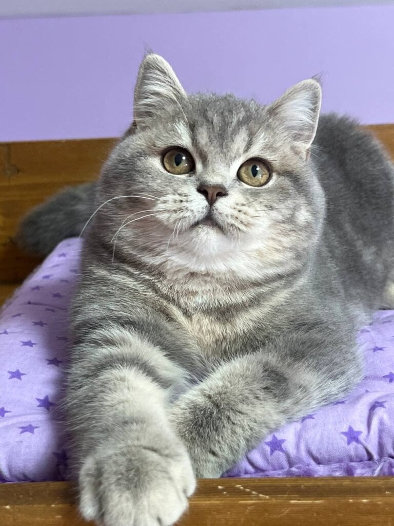 Photo 2025 12 16 16 20 58