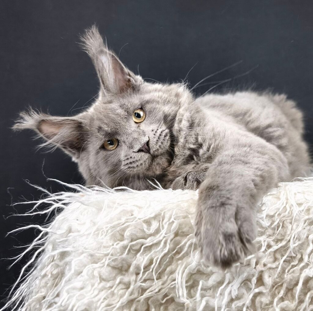 Photo 2025 12 16 16 53 56 2