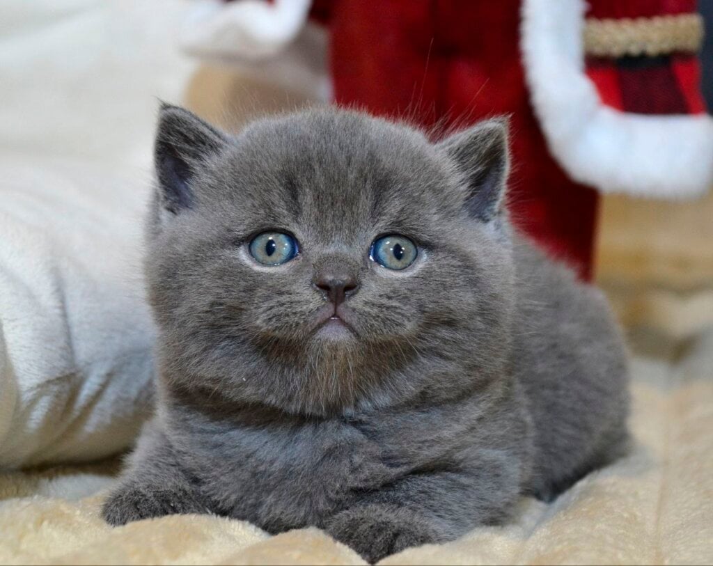 Photo 2025 12 16 20 12 16