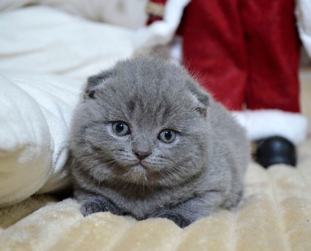 Photo 2025 12 16 20 17 05