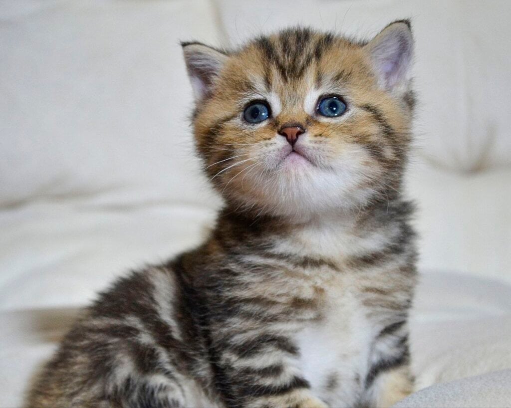 Photo 2025 12 16 20 18 39