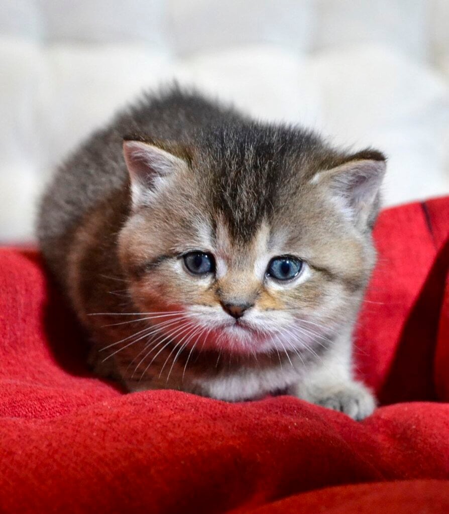 Photo 2025 12 16 20 27 29