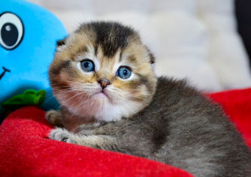 Photo 2025 12 16 20 29 15 2