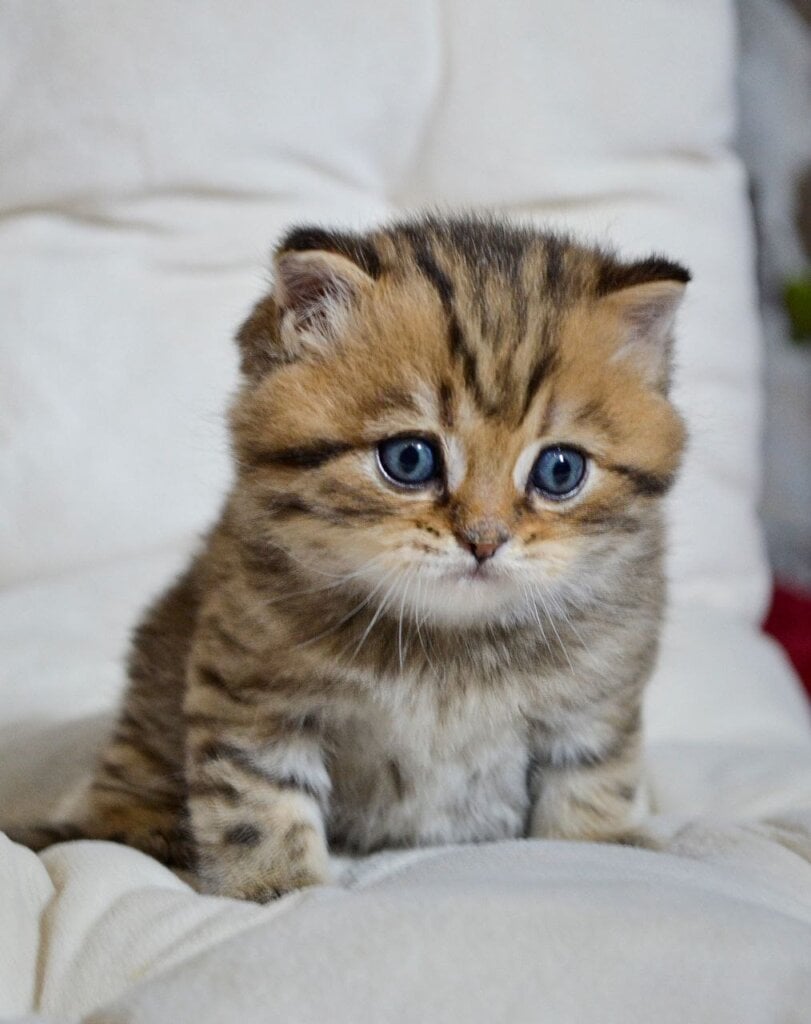 Photo 2025 12 16 20 31 18 2