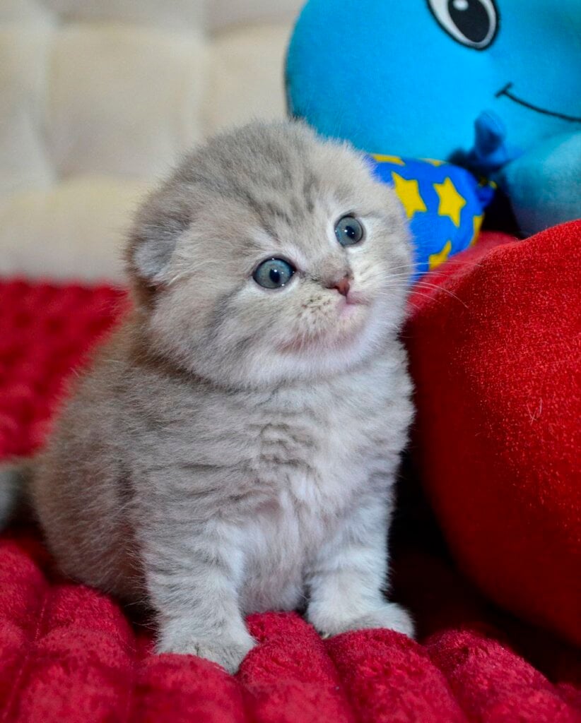 Photo 2025 12 16 20 32 52