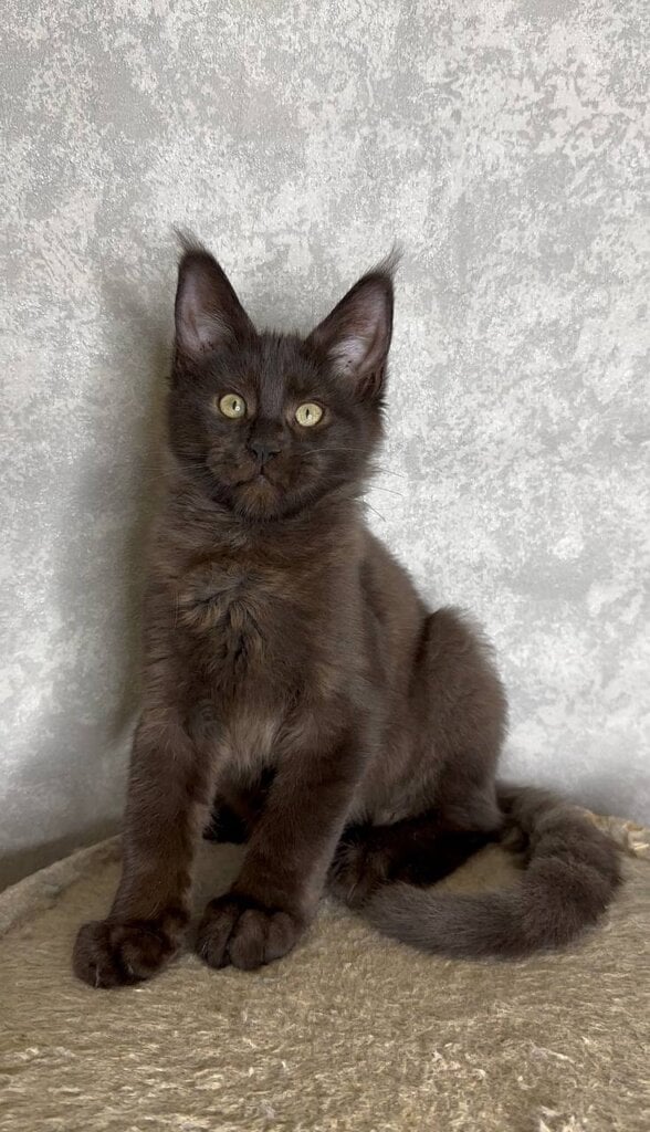 Photo 2025 12 17 18 01 09