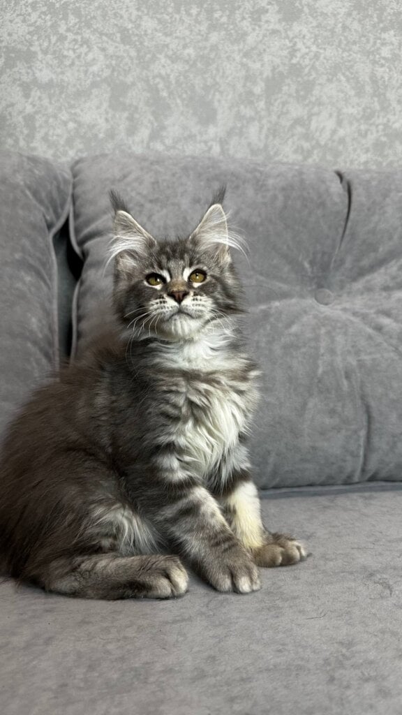 Photo 2025 12 17 18 15 46