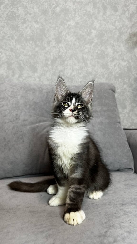 Photo 2025 12 17 18 57 56