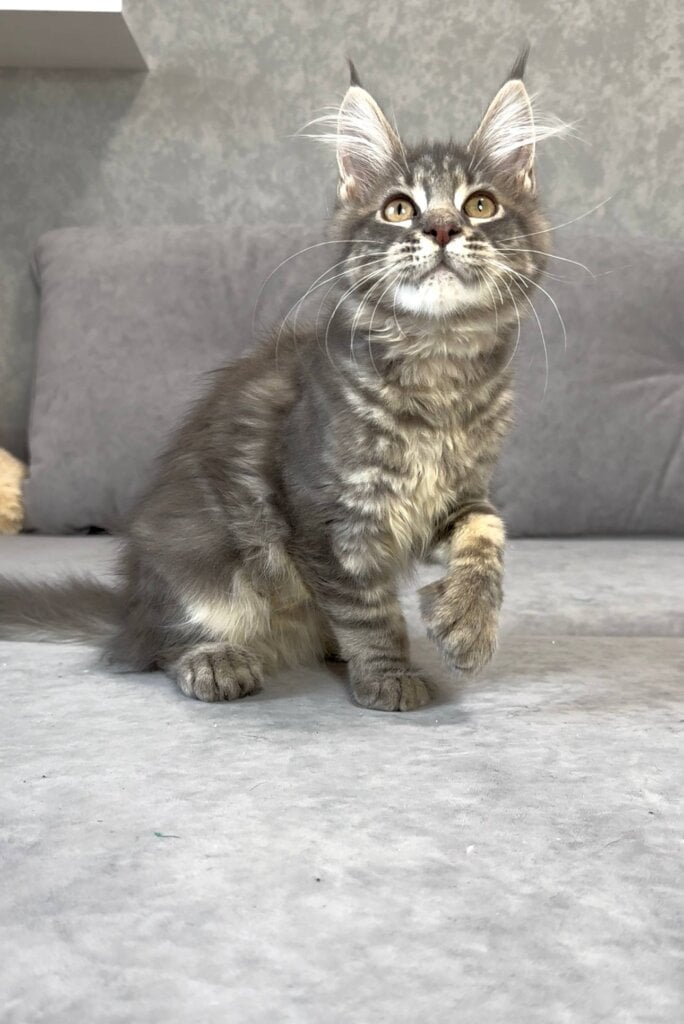 Photo 2025 12 17 19 07 01