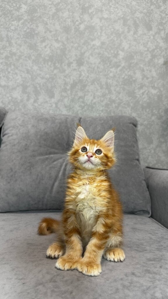 Photo 2025 12 17 19 19 22