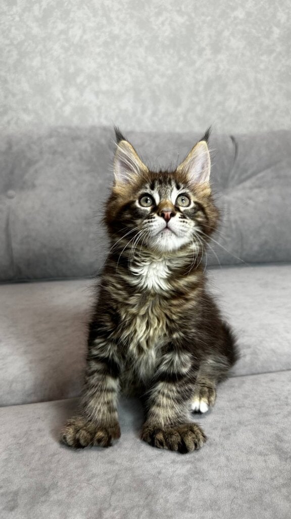 Photo 2025 12 17 19 24 13