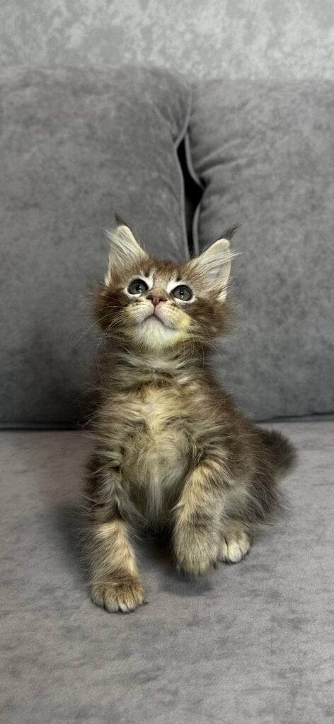 Photo 2025 12 17 19 27 23