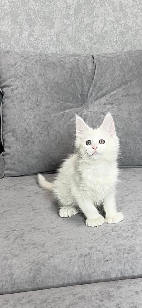 Photo 2025 12 17 19 29 54